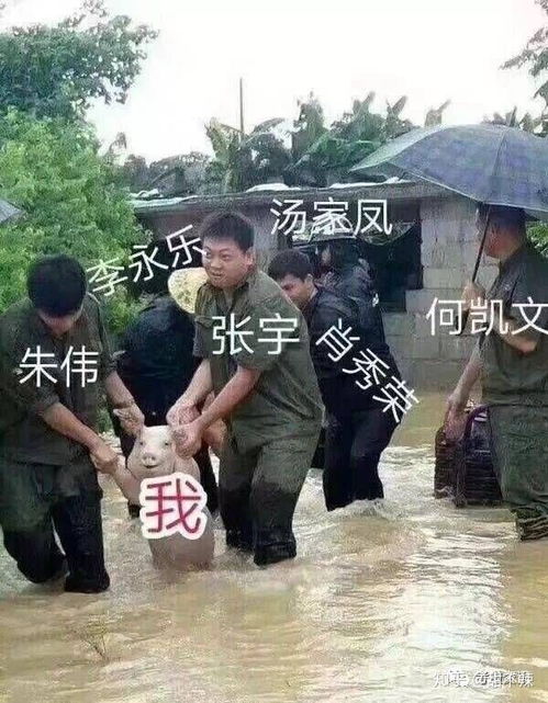  你有哪些让你一秒变开心的表情包