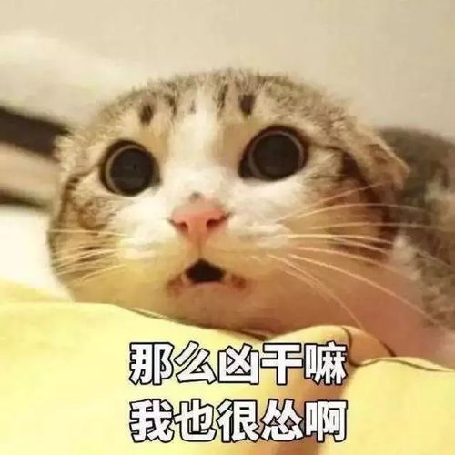  千万别买这些单品我用过一次就彻底闲置了