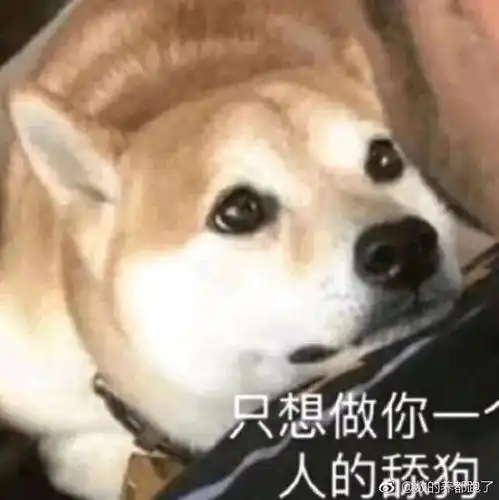 舔一口表情包走红