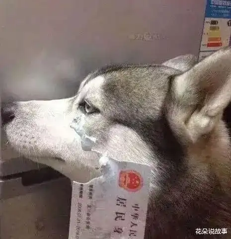  虽然都是闲出来的,但是比那些开个美颜随便扭两下当表演的好多了