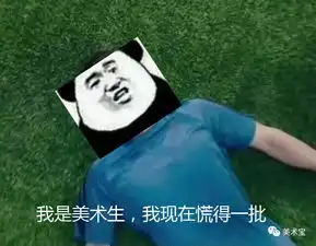 麻痹的表情包美术生