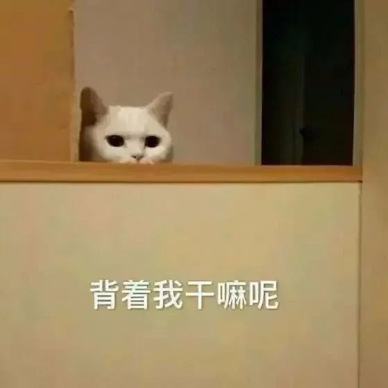 表情包为我们的无语干杯