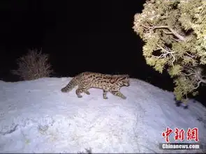 这组偷拍的照片你一定要看太难得了 这组偷拍的照片你一定要看太难得了