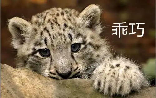 聊天的时候喜欢发表情包的人一般是什么心理 聊天的时候喜欢发表情包的人一般是什么心理