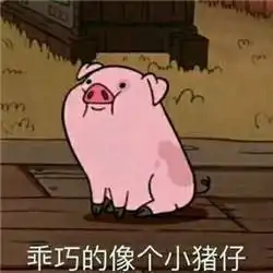 猪猪侠呆猪表情包