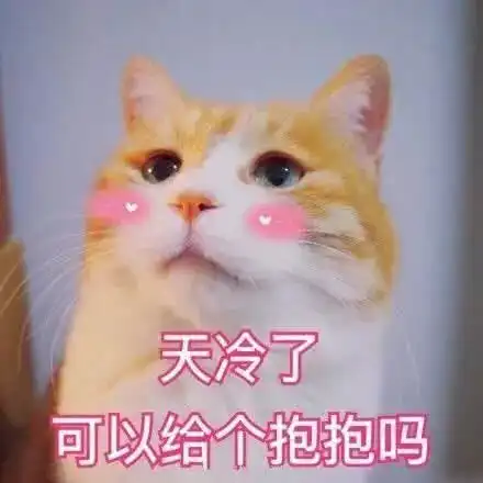 猫咪表情包天冷了,可以给个抱抱吗 猫咪表情包天冷了,可以给个抱抱吗