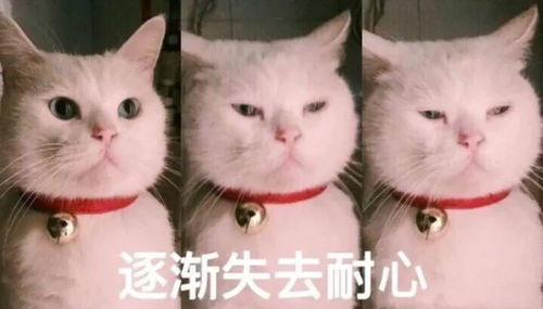  医院,才是检验人性最真实的地方....看哭