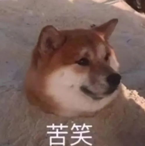  本次广西大范围暴雨过程趋于结束明后两天桂北局地仍有暴雨桂南大部降雨暂歇