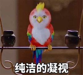  赵丽颖杨幂都给他们做过配角,如今跟他们的差距却有一个银河系