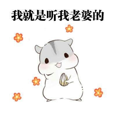  温柔的天使