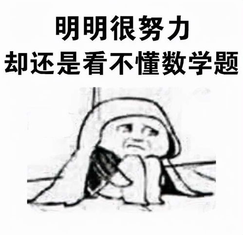  虽然考研不一定卷的过,但是表情包绝对拿捏了