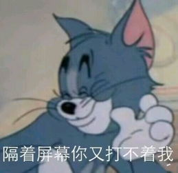  猫和老鼠搞笑表情包隔着屏幕你又打不到我,能怎么样啊腾讯新闻