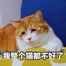  入夏接下去的天气很刺激还有这些事给你提个醒