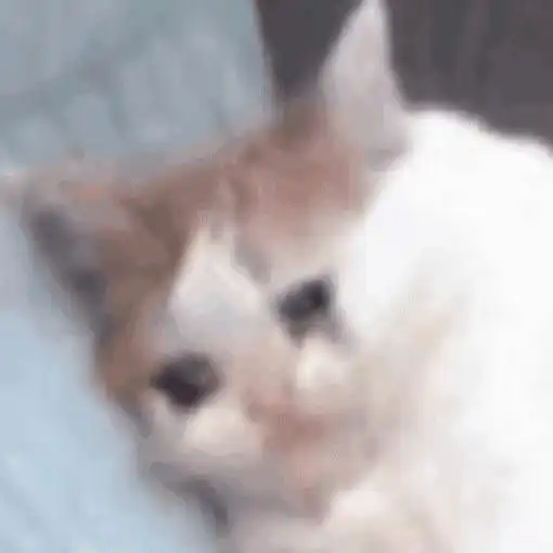 吴亦凡背后的神秘金主,落网了,这才是大瓜,你猜测是谁 吴亦凡背后的神秘金主,落网了,这才是大瓜,你猜测是谁