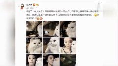  李晨深夜晒美食撒狗粮疑似范冰冰下厨