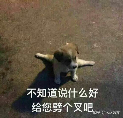 风之大陆表情包微信科研