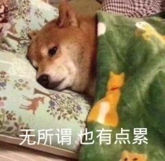旺旺表情包添加起床