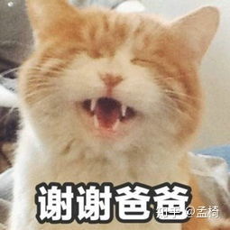  和父母聊天使用表情包会有什么奇异效果