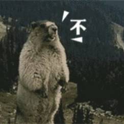  肖若腾屈居亚军,日本选手严重失误仍获金牌,央视这个太明显了