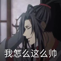  魔道祖师表情包你能把我怎样