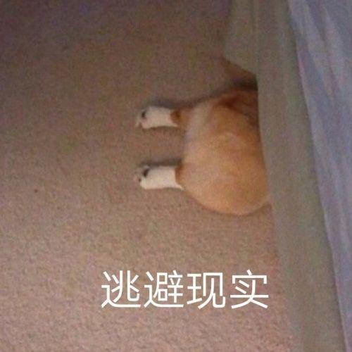  假期结束表情包