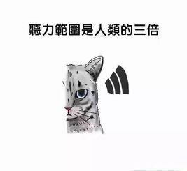  铜陵这十家校外教育机构上了黑名单,快来看看有你家孩子上的培训班吗