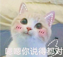  笑话再也不是当年那个说不舍得我嫁人的亲爹了