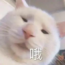 孟姜女风梓桑唱吧,听见歌声遇见你 孟姜女风梓桑唱吧,听见歌声遇见你