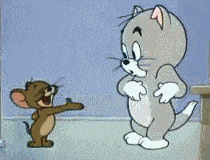 双十一朋友圈行为大赏 双十一朋友圈行为大赏