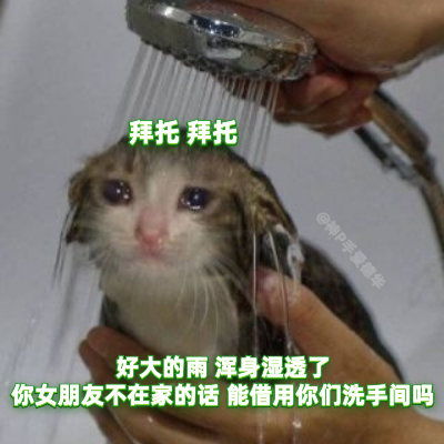  毛晓彤哭起来好像流泪猫猫头啊,可爱