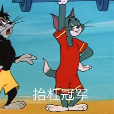  有没有适合说说配图的图片,逗比型,搞笑的,表情包啥的