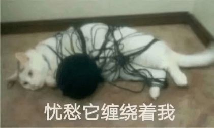 云集训开班倒计时赛奥家族助力云集训