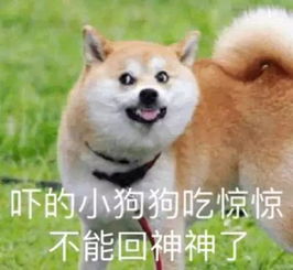  女子写借条安慰闺蜜被追债媒体没债别当傻白甜