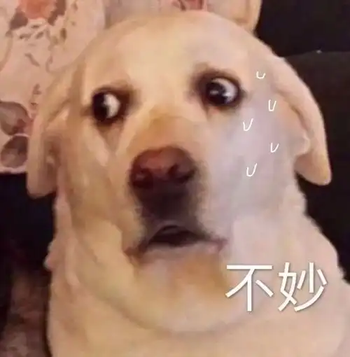  今日份表情包高情商您家厕所吃饭了吗