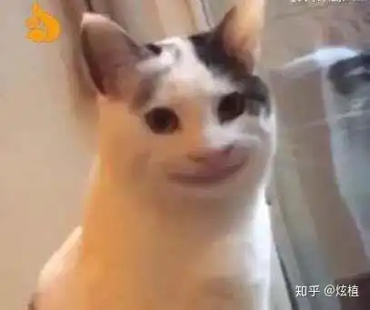 有没有那种别人一看就觉得我脑子有病的头像表情包也行,求求了 有没有那种别人一看就觉得我脑子有病的头像表情包也行,求求了