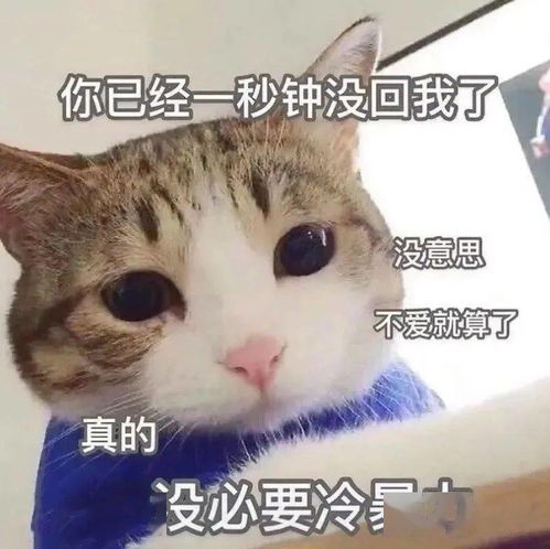 沙雕表情你已经一秒钟没回我了 沙雕表情你已经一秒钟没回我了