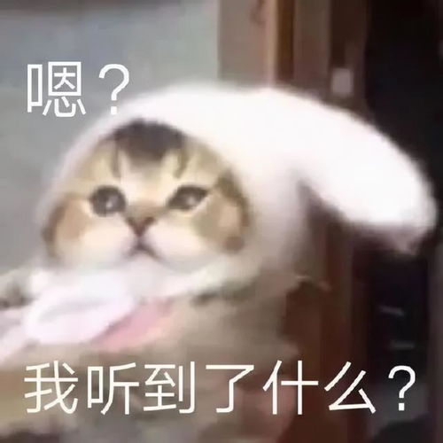  耗费十小时的心血被摔碎你会生气吗