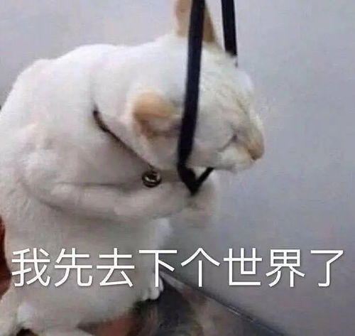  看剧看殇了求推荐甜甜韩剧