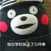  熊本熊qq表情系列,全套搞笑熊本熊图片