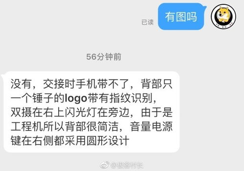 锤子锤人表情包新机