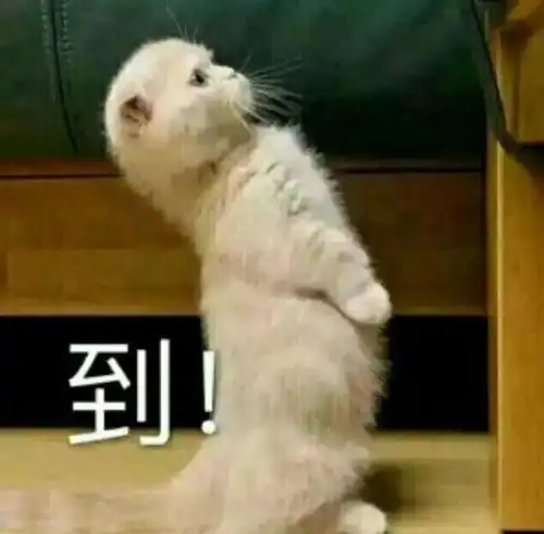 高校2万平米水果林,学生可以免费采摘免费吃 高校2万平米水果林,学生可以免费采摘免费吃