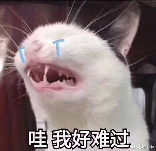  笑话高速服务区女生都去上男厕所,你看过这吃惊的一幕吗