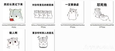  做人一定要谦逊qq表情斗图表情包搞笑图片无水印版qq表情arp绿色软件联盟