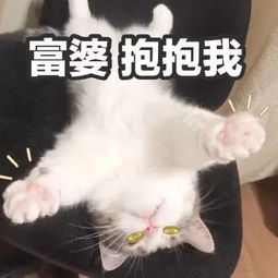  如果你过年给我这种红包,就算里面没钱,我也要