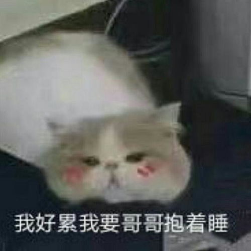  抱抱表情包合集我好累,我要哥哥抱着睡