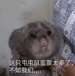  阴阳师玩家一次性合成两千狗粮碎片24万勾玉囤囤鼠大佬现世