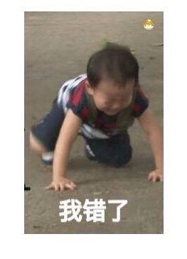  你有哪些跟认错相关的表情包
