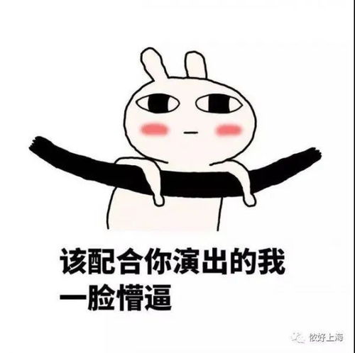 摸着良心说话的表情包秋