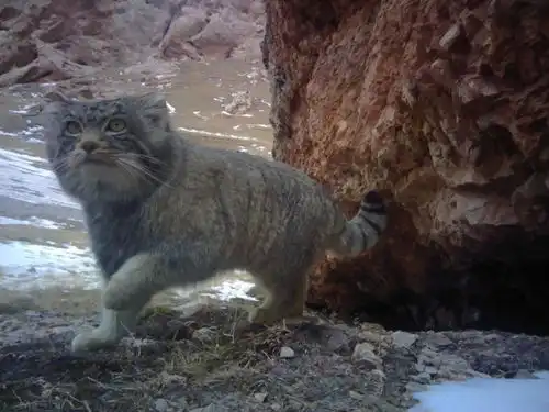 只能看不能玩的表情包天团,这次任你rua到底好物推荐 只能看不能玩的表情包天团,这次任你rua到底好物推荐