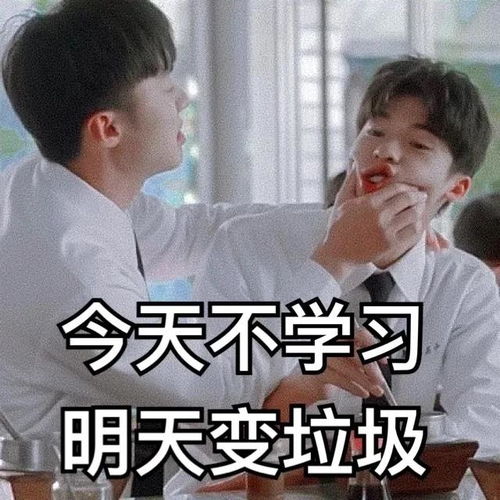  考研人交流必备表情包来袭码